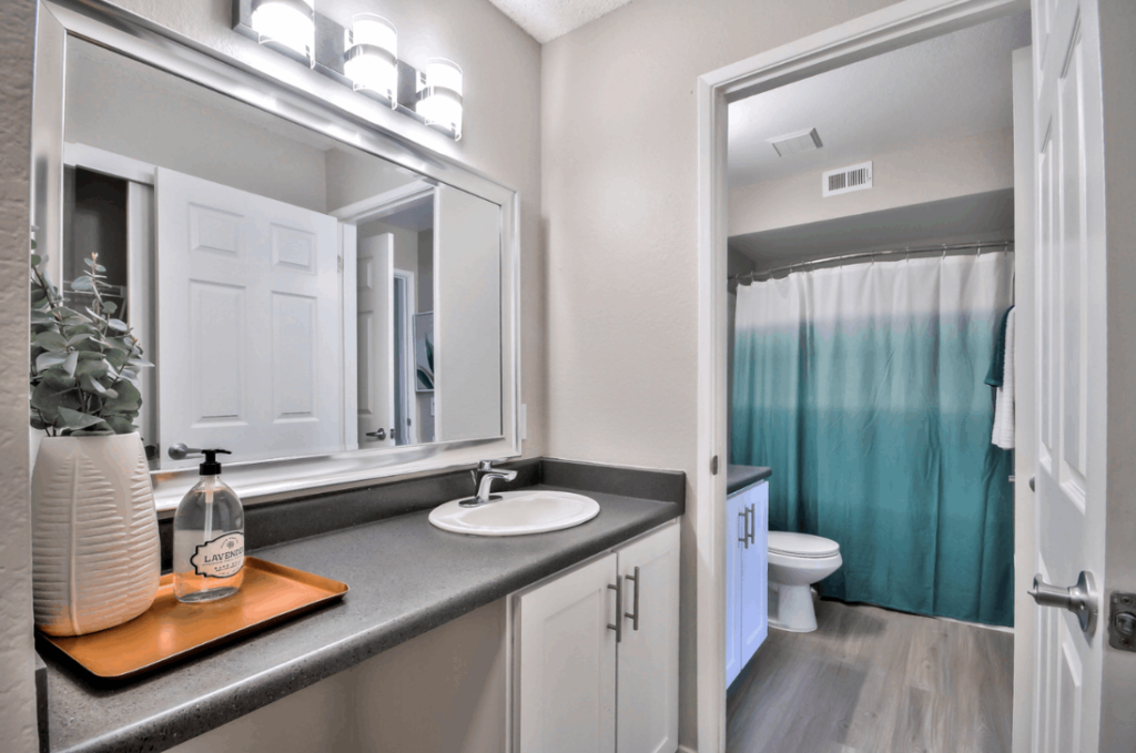 Bathroom with separate toilet and tub hower