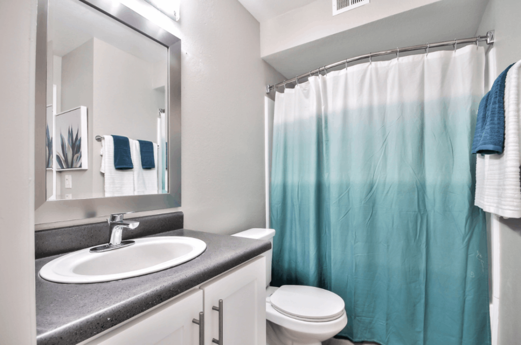Bathroom with toilet and tub shower